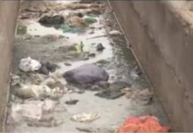 Our focus is zero cholera for this rainy season – Greater Accra Regional Health Directorate