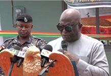 Deputy Interior Minister calls for review of Immigration Act 573