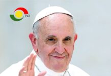 Pope Francis Dies at age 88: So, who picks the next one?