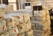 Cocaine smuggling: Circuit Court remands 4 persons into NACOC’s custody