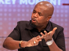 Sedina Tamakloe’s case was the usual NPP politics – Edudzi Tamakloe