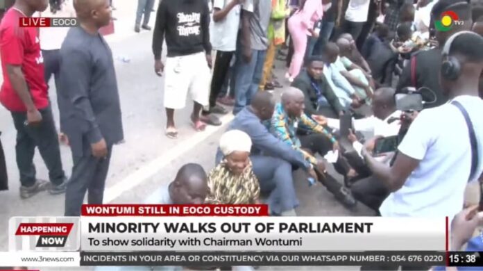 Minority MPs