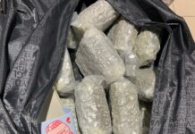 163 arrests, 5 convictions recorded in 109 drug cases – NACOC