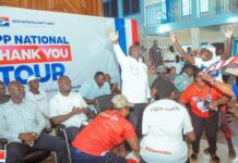 NPP needs ‘Apology and Unity’ tours alongside the ‘Thank You’ tour – Party stalwart