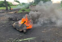 Meat processed by burning tyres can cause cancer – Research