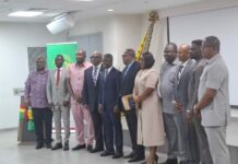 Help build health sector that’s equitable, and prepared for the future – Akandoh tells Council Members