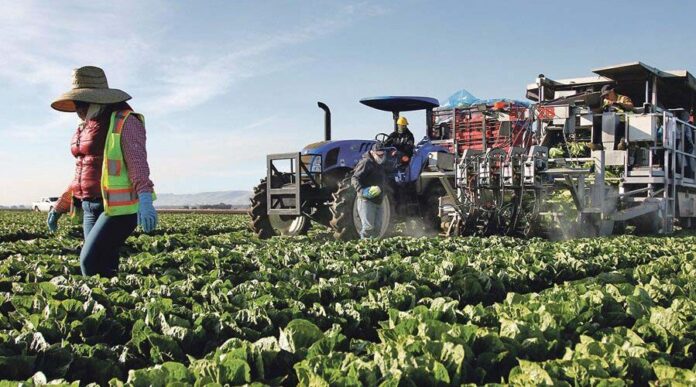 Agric mechanisation