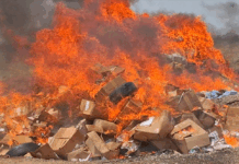 NIB, NACOC burn $350m cocaine haul in landmark anti-narcotics operation