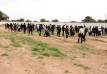UWR: 1 million seedlings to be planted under the Tree for Life initiative