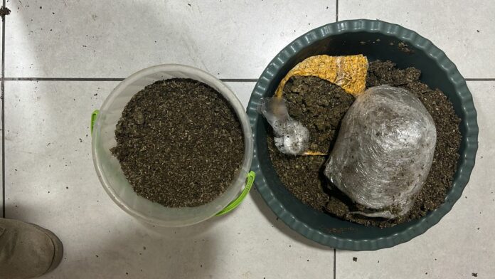 Cannabis - Dobro
