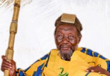 Overlord of Mamprugu Kingdom urges Mahama to address key challenges facing North East Region