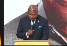 Trump’s 20-point Gaza peace proposal is an olive branch that can pave way for peace – Ablakwa