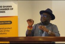 Ghana Chamber of Mines’ CEO urges judiciary to fast-track illegal mining cases to safeguard environment