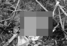 Bia East: Skeleton of missing 85-year-old woman discovered in the bush at Camp 15
