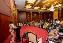 Mentor the young ladies to take after you – Veep tells female MPs