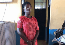 Tema: 29-year-old woman arrested for possession of narcotics