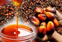 Gov’t initiative to create 500k jobs in oil palm sector is good but… – CEO of Oro Oil