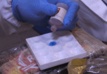 NIB officials conduct test on $350m cocaine bust before destruction