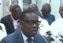 I will work tirelessly with my Minister to pass Dual Citizenship Amendment Bill – Gyakye Quayson