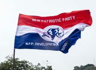 Here is the list of newly elected NPP Regional Chairmen