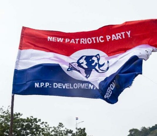 Here is the list of newly elected NPP Regional Chairmen