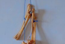 Shama: Strange bones in classroom disrupt academic activities at Dwomo Methodist School