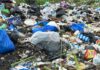 Can paper and tote bags help Ghana win the fight against plastic waste?