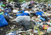 Stakeholders explore digital innovation for effective management of waste