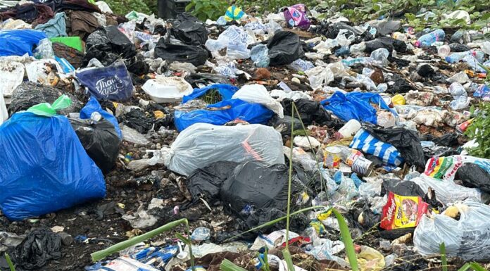 Can paper and tote bags help Ghana win the fight against plastic waste?