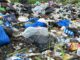 Can paper and tote bags help Ghana win the fight against plastic waste?