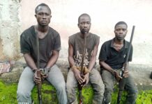 Ankasa Forest: Three poachers arrested as patrol team reject GH¢7,000 bribery attempt