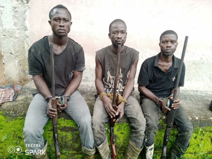 Ankasa Forest poachers