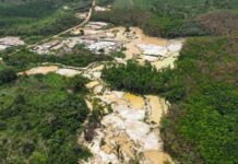 Galamsey: Repeal of LI 2462 is good but the battle on the ground is far from over – Bosu
