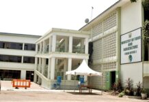 MoFA announces $5b fertiliser project
