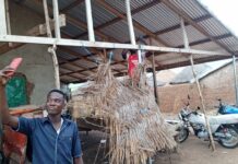 Talensi: No telecommunication network, no electricity; residents living in the dark age at Nungu