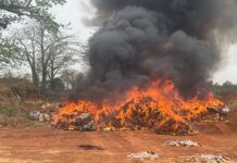 Ahafo Region: Asutifi Police Command arrest five ‘wee’ smokers, set four camps ablaze