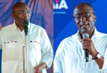 Ghanaians will honour Bawumia’s hard work, let’s present him in 2028 – 2nd Deputy Speaker