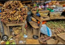 Traditional Medicine Practice Council alarmed by increasing number of quacks in the sector