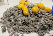 Woman arrested in Tamale for allegedly possessing drugs