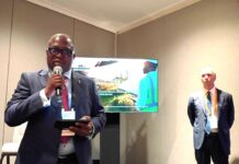 Climate Change Minister calls on world leaders for bold capital to drive Africa’s Clean Energy transition