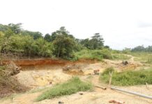 WNR: Lands Minister raises alarm over massive forest loss to galamsey