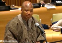 Xenophobic Attacks in South Africa: Man in viral video will be relocated – Ablakwa
