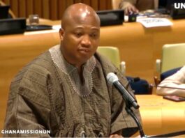 Xenophobic Attacks in South Africa: Man in viral video will be relocated – Ablakwa