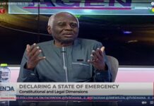 Be careful what you wish for – Tsatsu Tsikata on calls for declaration of state of emergency over galamsey