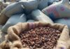 Ghana to process at least 50% of cocoa beans by 2026/27 season – Ato Forson