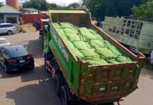 Big Ada: 238 bags of cocoa beans seized upon suspicion of being smuggled outside Ghana