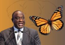 NPP cannot talk about granting me amnesty; it didn’t apply to me – Alan Kyerematen