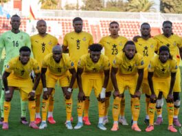 2026 FIFA World Cup: Mental health expert advises Black Stars fans on how to celebrate without health complications
