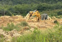 Galamsey in forest reserves increased from 5,252 in 2021 to 8,923 hectares in 2024 – Forestry Commission