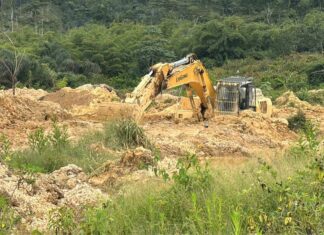 Galamsey in forest reserves increased from 5,252 in 2021 to 8,923 hectares in 2024 – Forestry Commission